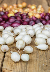 Farming,cultivation, agriculture and vegetables concept: small red, yellow and white onion for planting on a wooden background.