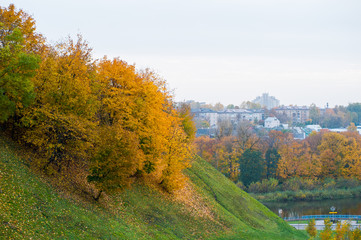 Obraz premium Trees on the hillside, autumn slides down, the onset of yellow foliage