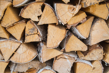 birch firewood in woodpile