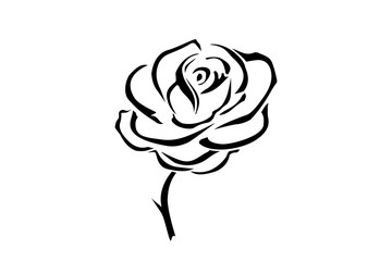 Hand drawn rose. Flowers rose, black and white vector outline icon. Flower logotype concept icon. Rose logo.