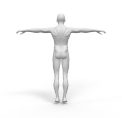Human Man White  Body 3D Rendering