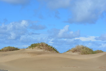 Küste