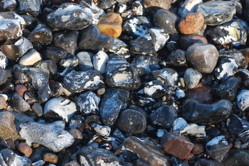 Küste