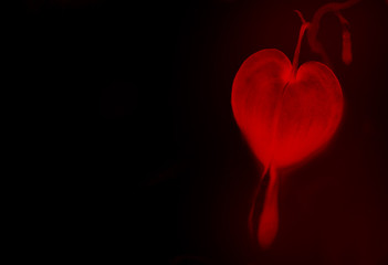 Bright red heart on a black background. Valentine's Day.