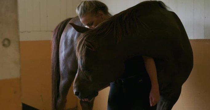 Close up of woman feeding and petting araban horse in stable