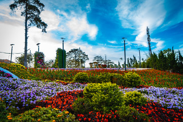 Flower city, Dalat