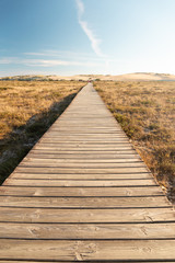 Obraz premium Access to the Corrubedo Dunes