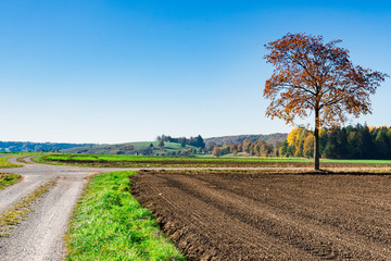 Fototapeta na wymiar autumn landscape along touristic route called Romantic Road, Buchdorf, Germany