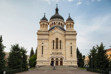 Fototapeta premium The metropolitan cathedral in Cluj-Napoca.