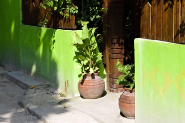 Two isolated vases outdoor near a green wall (Ari Atoll, Maldives)