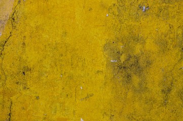 Dirty yellow wall background (Ari Atoll, Maldives)