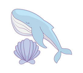 cute whale with seashell