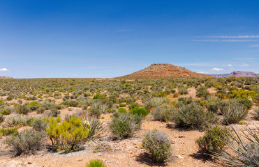 Vista de vegetação e planalto descampado do Grand Canyon Las Vegas