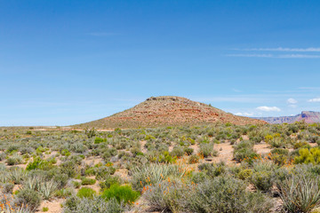 Vista de vegetação e planalto descampado do Grand Canyon Las Vegas