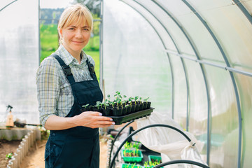 Young pretty blonde woman in blue overall working with seedlings inside greenhouse. Female farmer