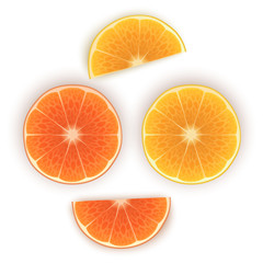 Bright vector set of colorful half, slices of orange. Fresh cartoon slices of orange on white background.