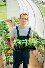 Handsome cheerful young gardener in overall standing with seedlings in greenhouse. Portrait of...