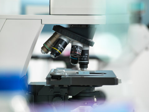 Microscope with a microscope plate in the laboratory