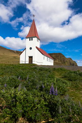 Vertical photo of lupines and white church with red roof church in Vik, Iceland, during a beautiful sunny day
