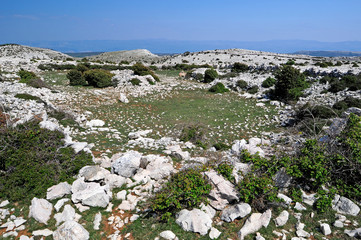 Karstlandschaft des Obzova, Insel Krk, Kroatien
