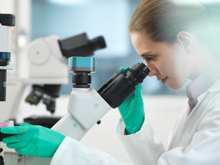 Cell Research, Scientist viewing cells in a multi well plate under the microscope in the laboratory