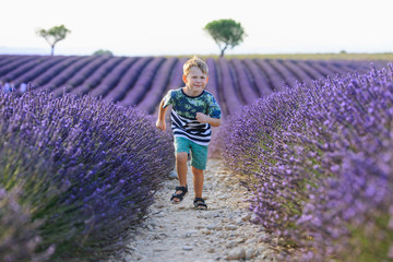 child in lavender field is having fun