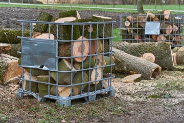 Frisch gesägtes Feuerholz in Gitterboxen für den Transport.