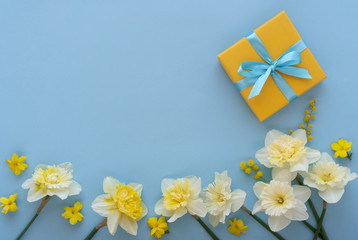 Gift box and white narcissus flowers. Beautiful gift box and fresh flowers on blue background