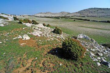 Karstlandschaft des Obzova, Insel Krk, Kroatien