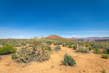 Vista de vegetação e planalto descampado do Grand Canyon Las Vegas