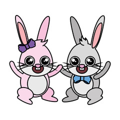 beautiful rabbits couple easter characters