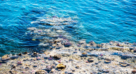 Top view of a rocky coast with a coral reef in the Red sea. Egypt