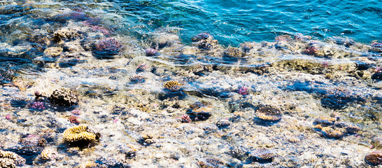 Top view of a rocky coast with a coral reef in the Red sea. Egypt