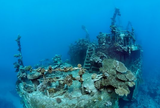 Stern of ship wreck, Russian wreck MS Khanka, former spy ship or communications ship, Zabargad Island, Red Sea, Egypt, Africa
