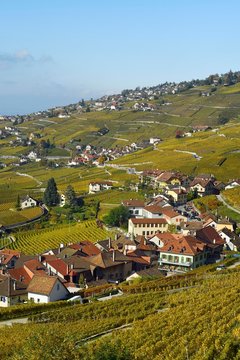 Vineyards in autumn with view of winemaking villages Epesses and Riex, Lavaux, Canton of Vaud, Switzerland, Europe