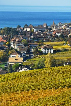 Vineyards in autumn with a view of the wine-producing Cully village, Lavaux, Canton of Vaud, Switzerland, Europe