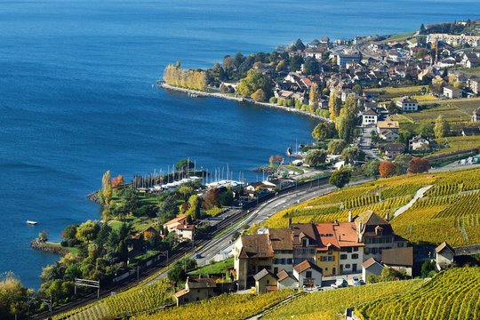 Vineyards in autumn with a view of the wine-producing Cully village, Lavaux, Canton of Vaud, Switzerland, Europe