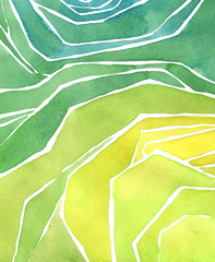 Watercolor rice or tea plantation, cascades field