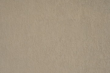 Fototapeta na wymiar Background, texture wall light gray