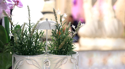 Zielona roślina i białe kwiaty w białej metalowej doniczce, reklama.