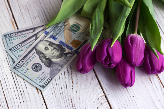 Bouquet of purple tulips and USA currency ($100), money - a gift for the holiday, concept