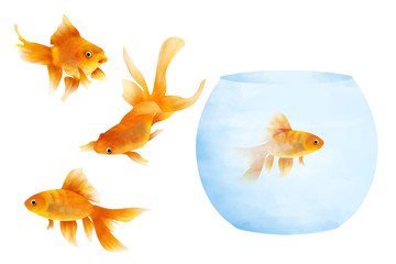 Cute little gold fish with transparent glass aquarium elements kit white isolated