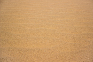Fototapeta na wymiar desert dunes sand grain soft focus textured wallpaper background 