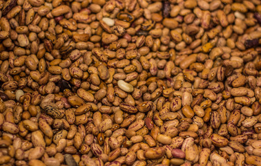 beans cereal food brown textured photography