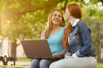 Students using laptop outdoors