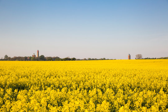 Germany, Ruegen, Cape Arkona, Cape Arkona Lighthouse, Schinkel Tower and Positioning Tower, Peilturm at oilseed field