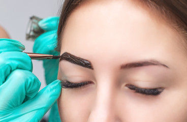 makeup artist applies paint henna on eyebrows in a beauty salon. Professional care for face.