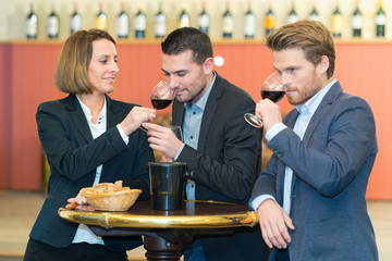 professional people having wine tasting