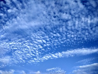 blue sky with white clouds