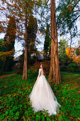 bride near autumn trees. building on the background. back view.